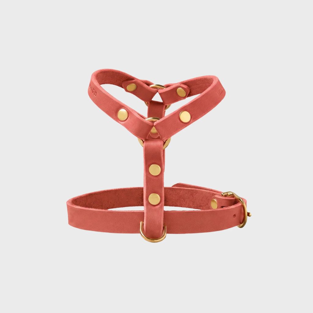 Hundeharnisch aus rosa Leder für Dackel