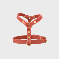 Miniaturbild für ein rosa Hundegeschirr aus Leder für Dackel