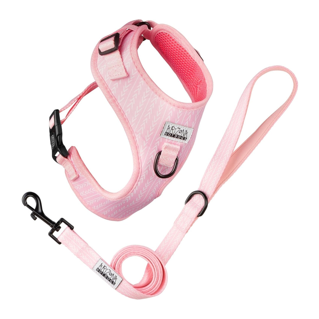 harnais et laisse teckel rose