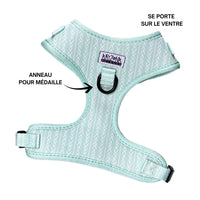 Thumbnail for harnais face avant teckel vert
