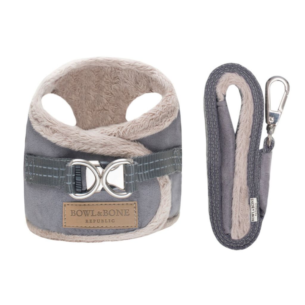 harnais fourrure gris avec laisse pour teckel