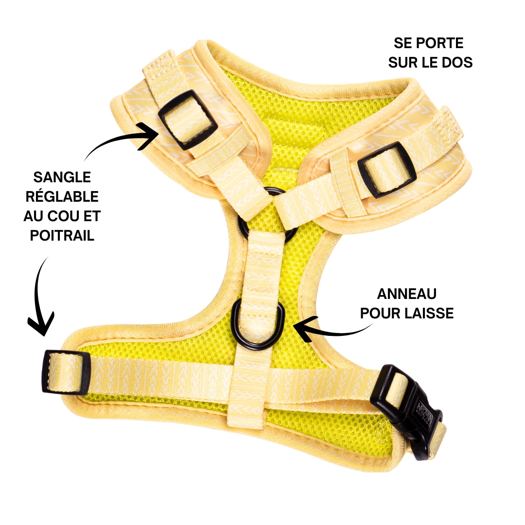 Dachshund Saddlery <br> Lemon Yellow Harness