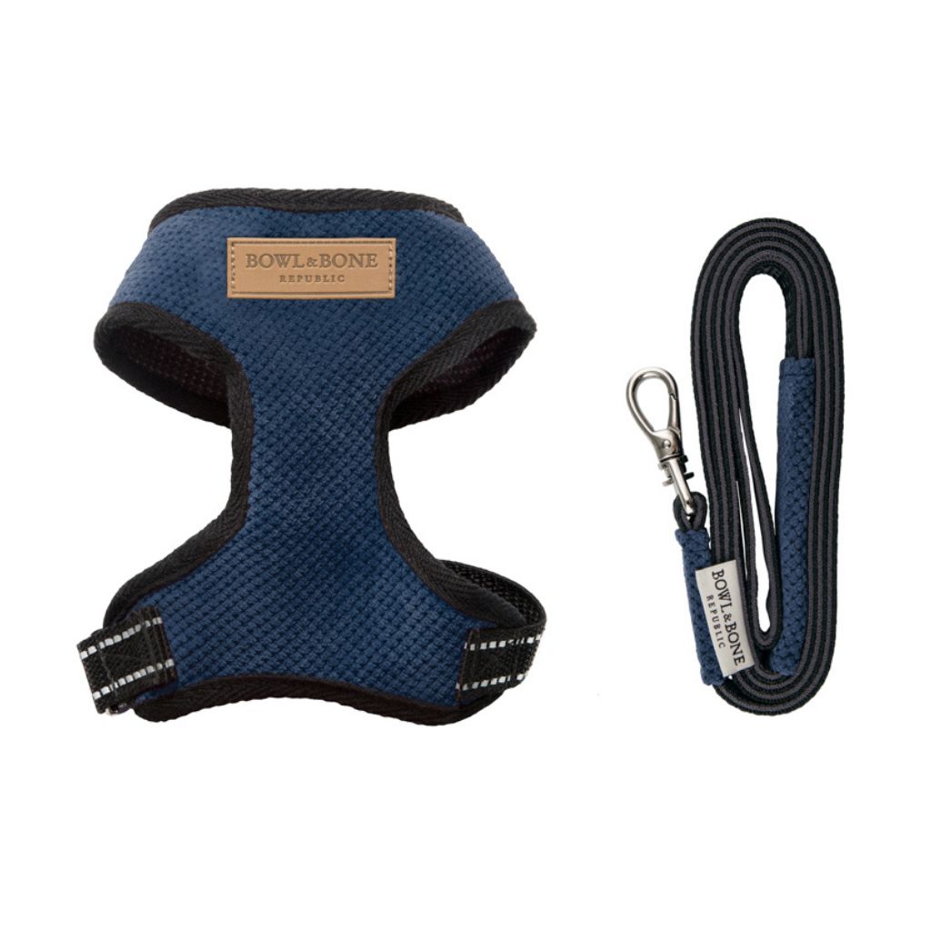 blaues Dackel-Halsband aus Stoff