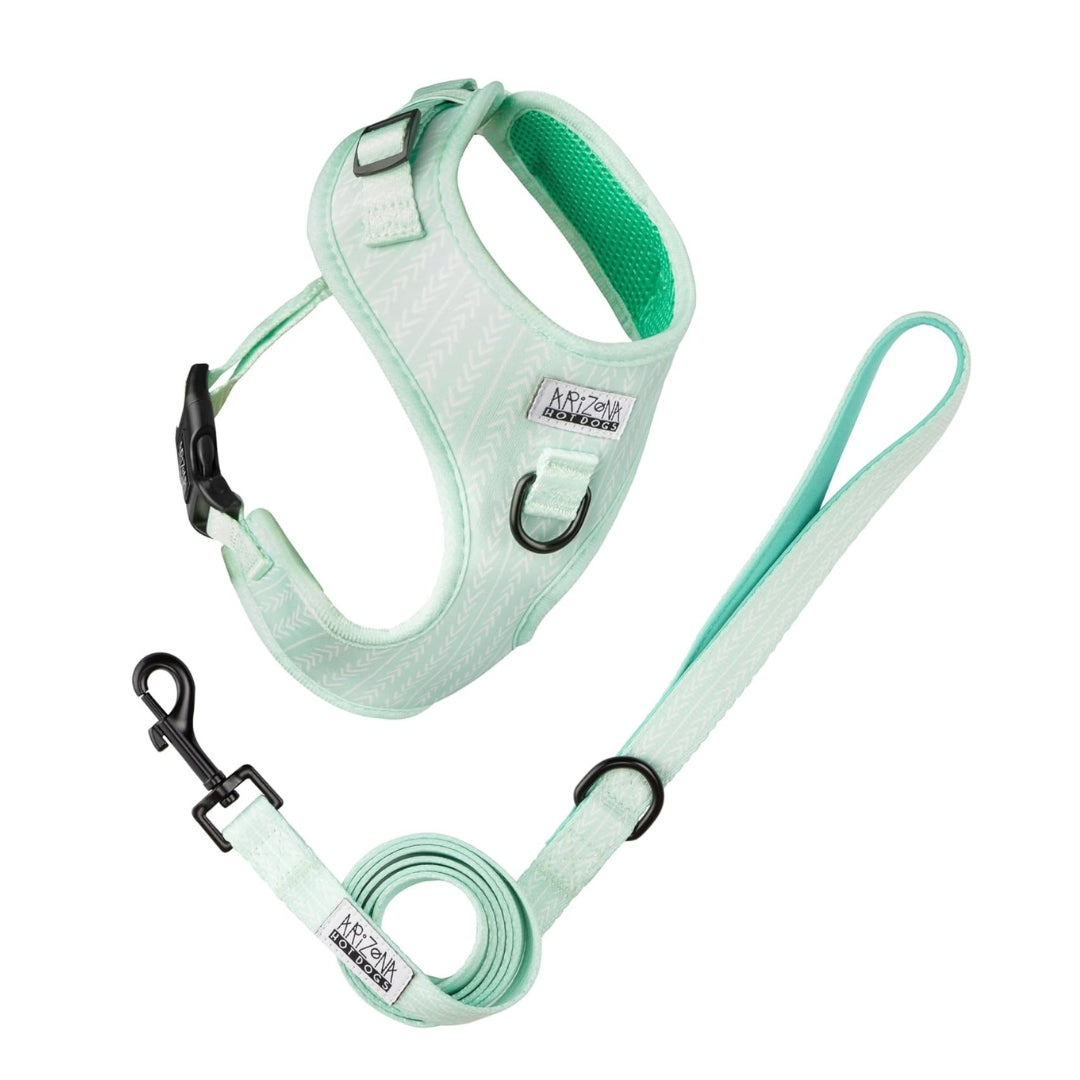 harnais et laisse teckel vert