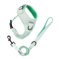 Thumbnail for harnais et laisse teckel vert