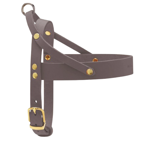 Geschirr für kleine Hunde aus taupefarbenem Leder