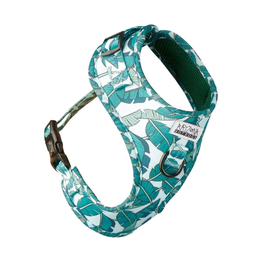 harnais pour chien teckel vert fleurs