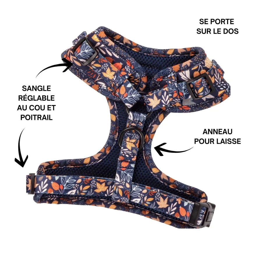 Harnais pour petit chien