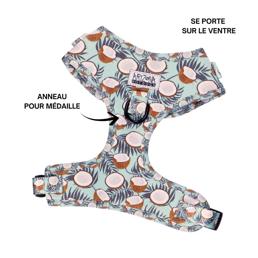 Sellerie Teckel <br> Harnais Coconut
