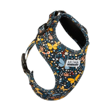 Harnais pour teckel nain