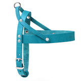 Harnais teckel cuir bleu
