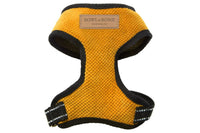 Miniaturbild für Geschirr Teckel Gelb