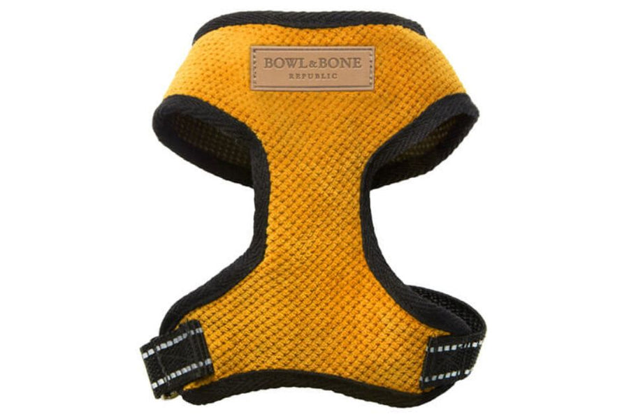 Geschirr Teckel Gelb