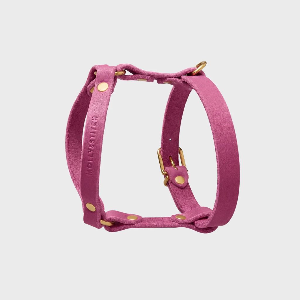 Luxuriöses rosa Dackel-Geschirr aus Leder
