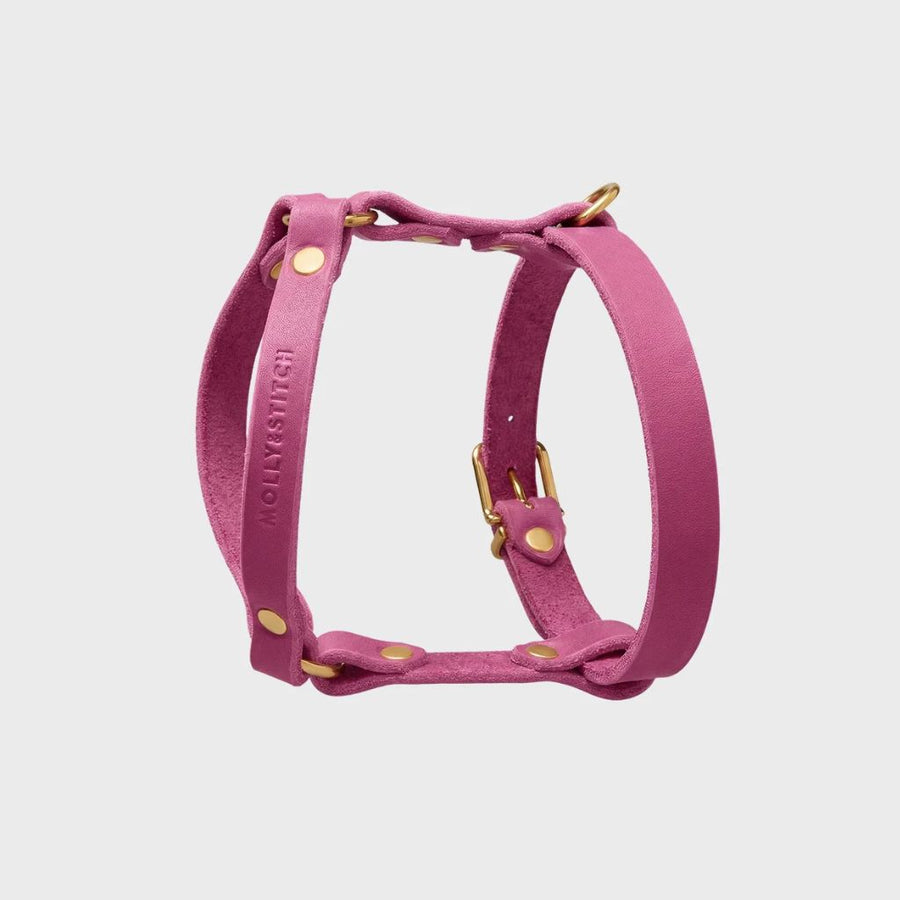 Luxuriöses rosa Dackel-Geschirr aus Leder