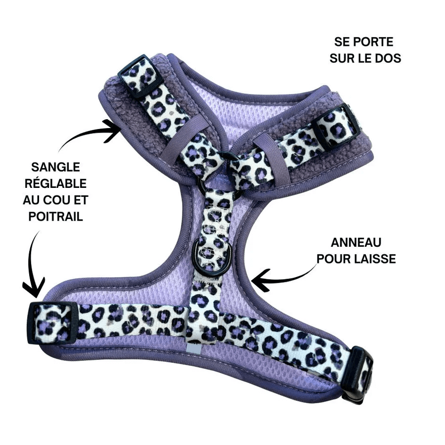 Wärmendes Teddy-Hundeharness