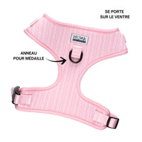 Thumbnail for Sellerie Teckel <br> Harnais Marshmallow Rose