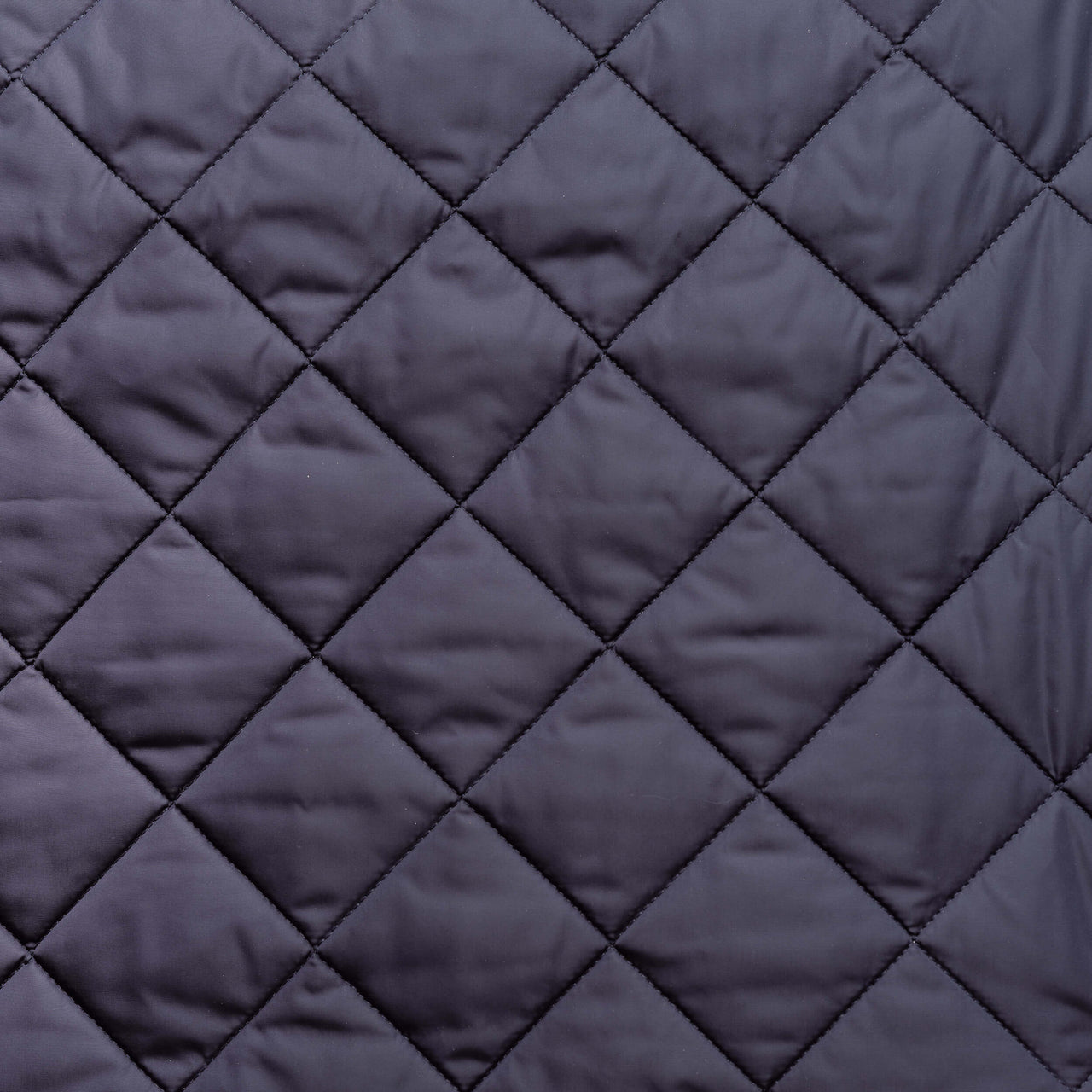 housse sac voyage chien bleu