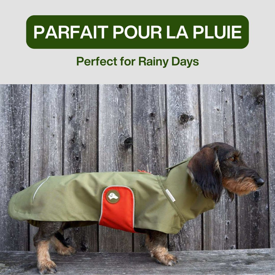 impermeable pluie chien teckel