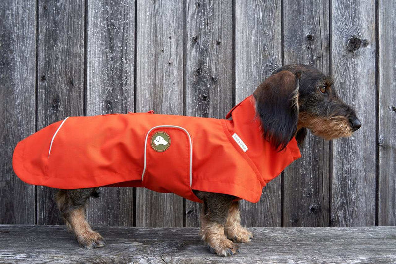 Regenjacke für Dackel