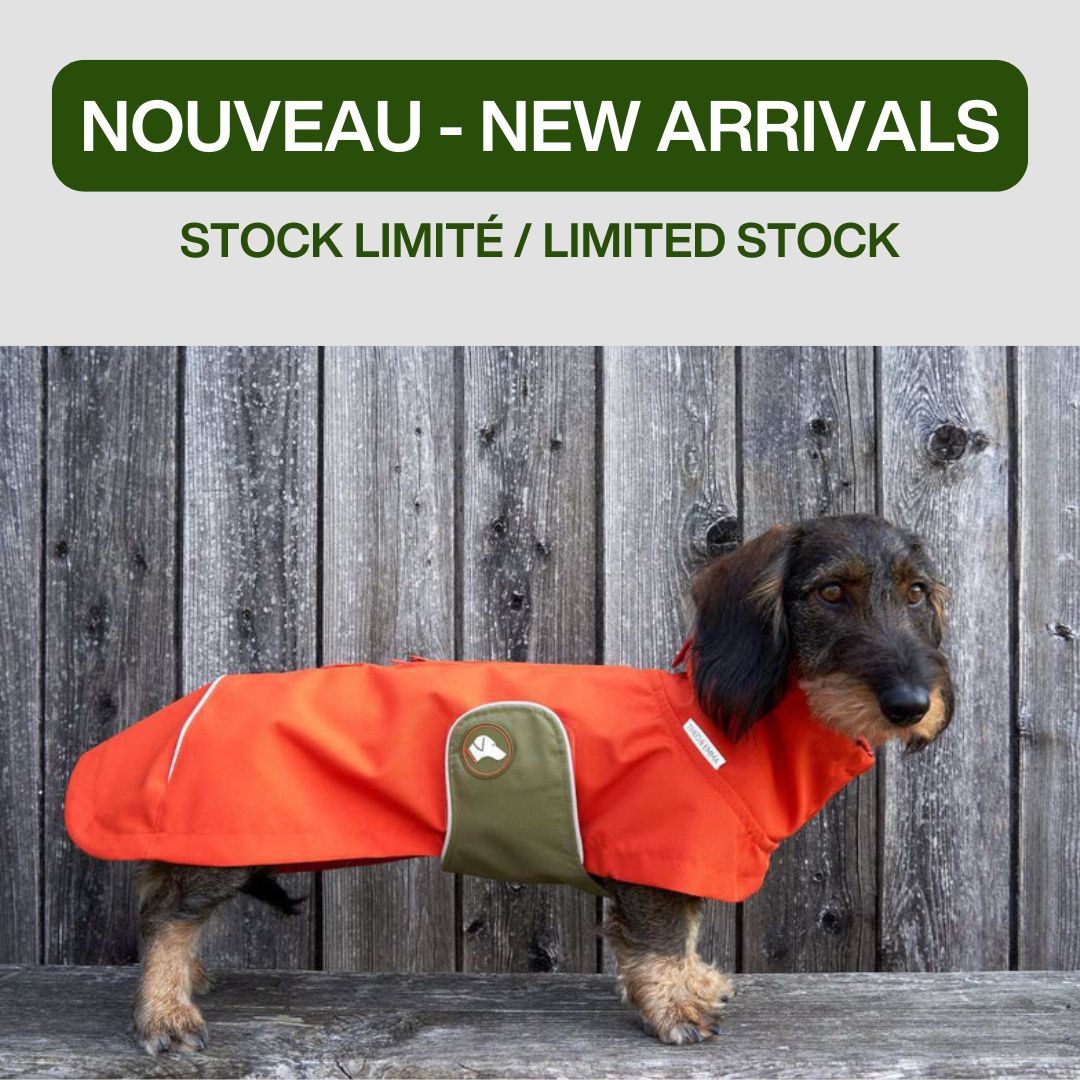 impermeable teckel orange stock