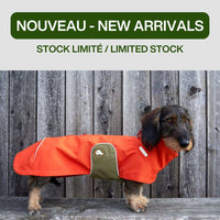 Thumbnail for impermeable teckel orange stock