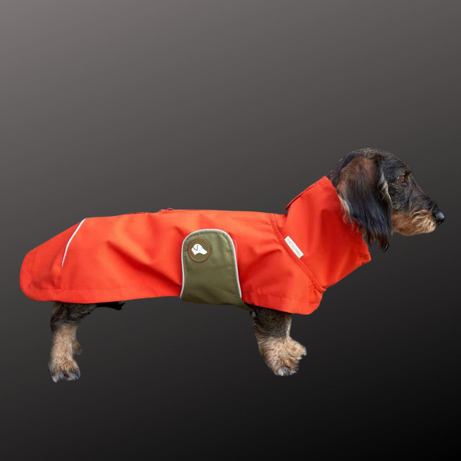 Vêtement Teckel <br> Imperméable Cooper Citrouille