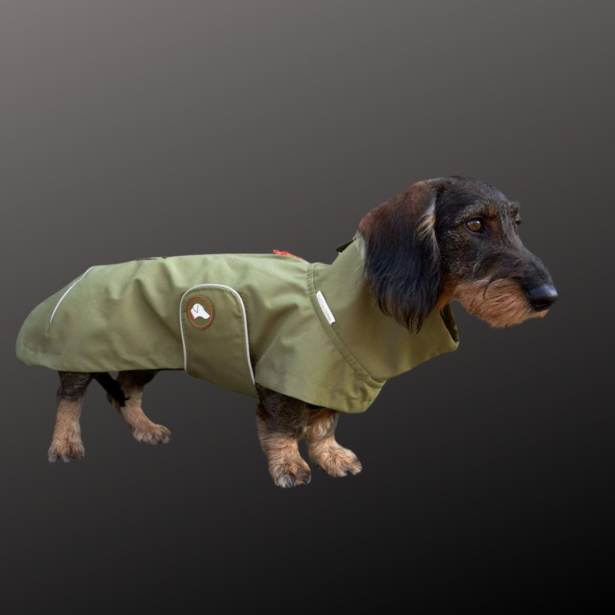 impermeable teckel vert olive