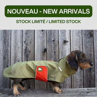 Thumbnail for Impermeable teckel vert stock