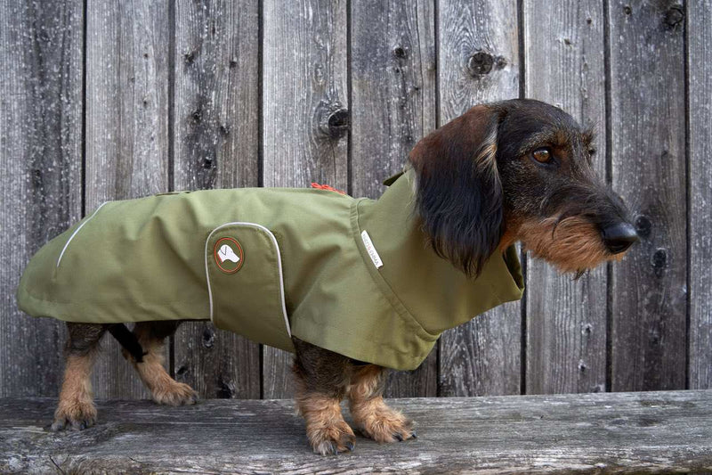 impermeable teckel vert 