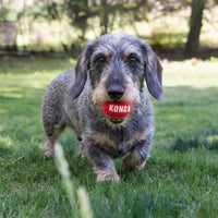 Thumbnail for jouet teckel balle kong