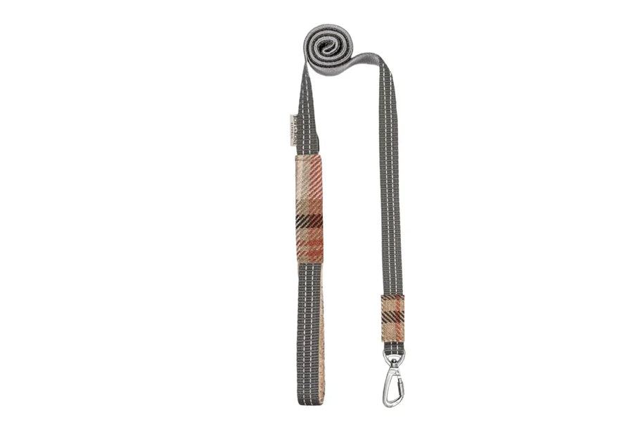 laisse chic luxe fourrure chien