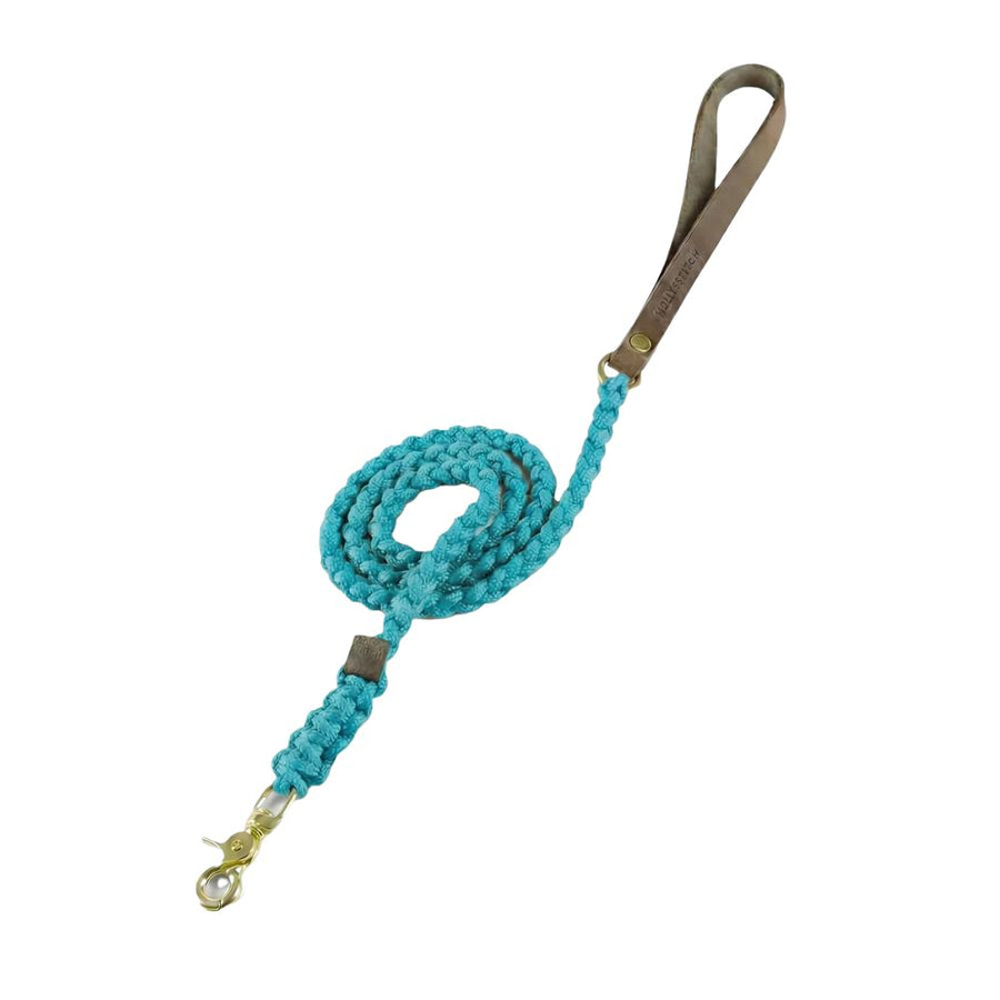 laisse chien corde bleu