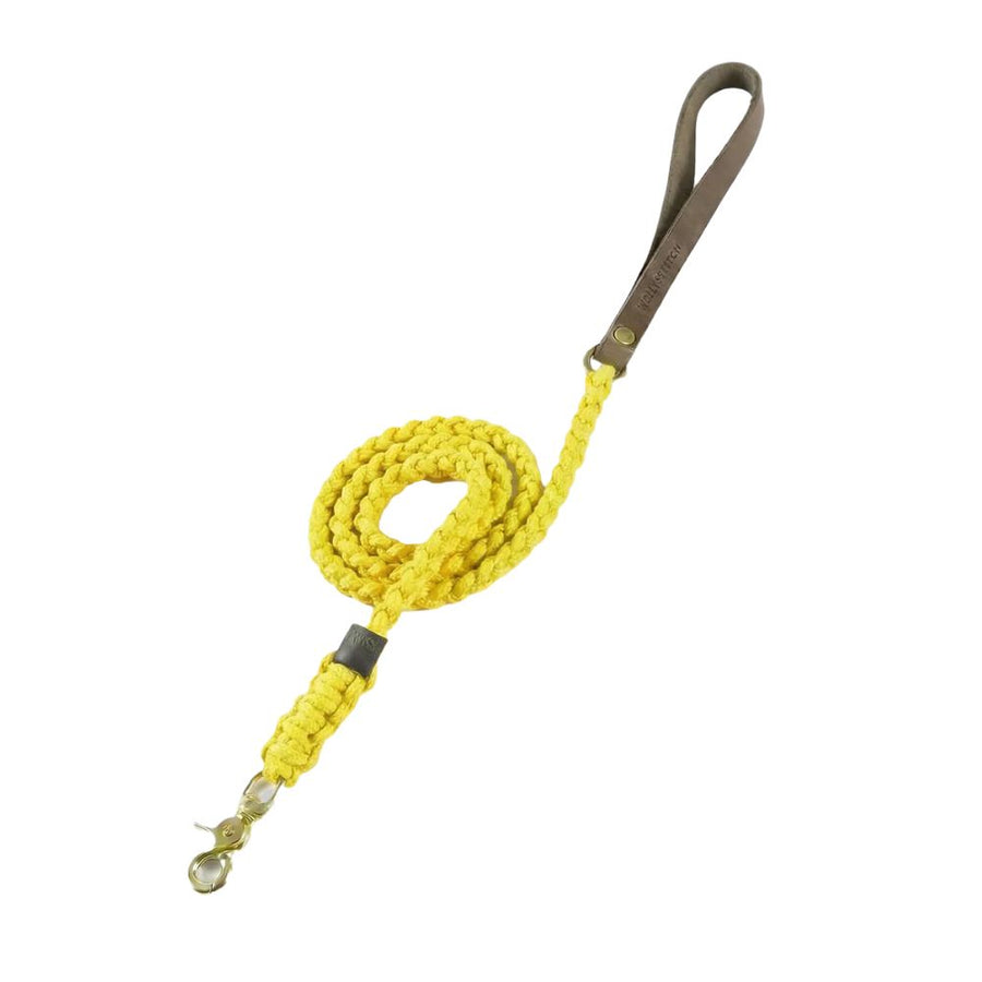 laisse corde cuir jaune chien