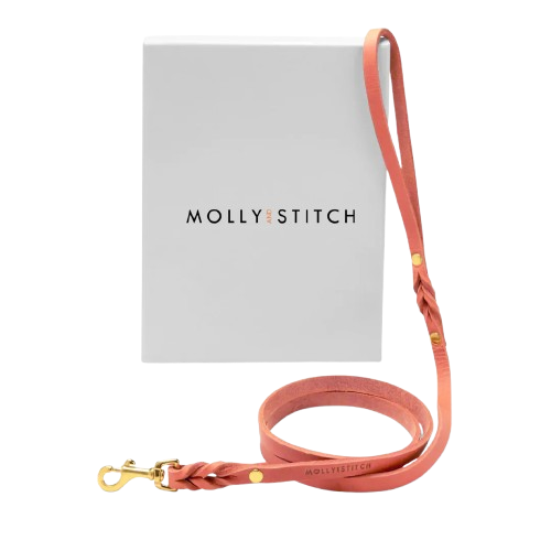 Sellerie Teckel <br> Laisse Cuir Butter Rose