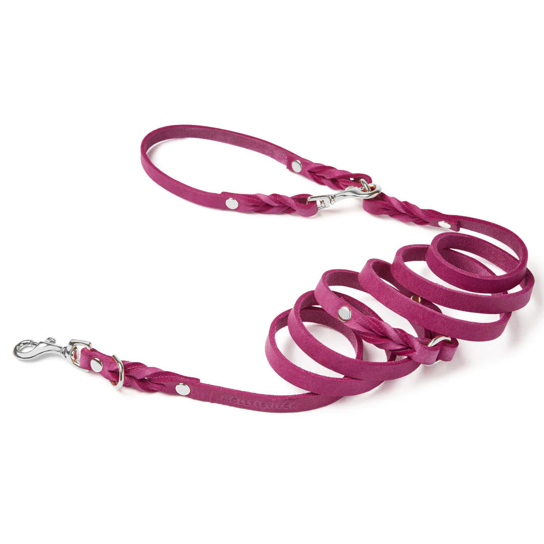 Laisse Chien Cuir Rose