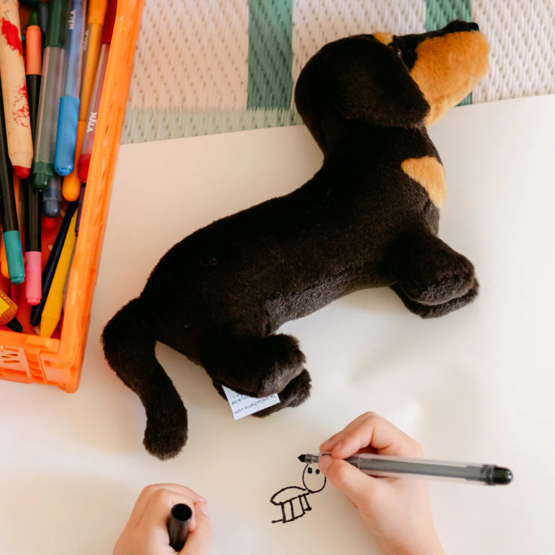 Peluche Bebe Teckel