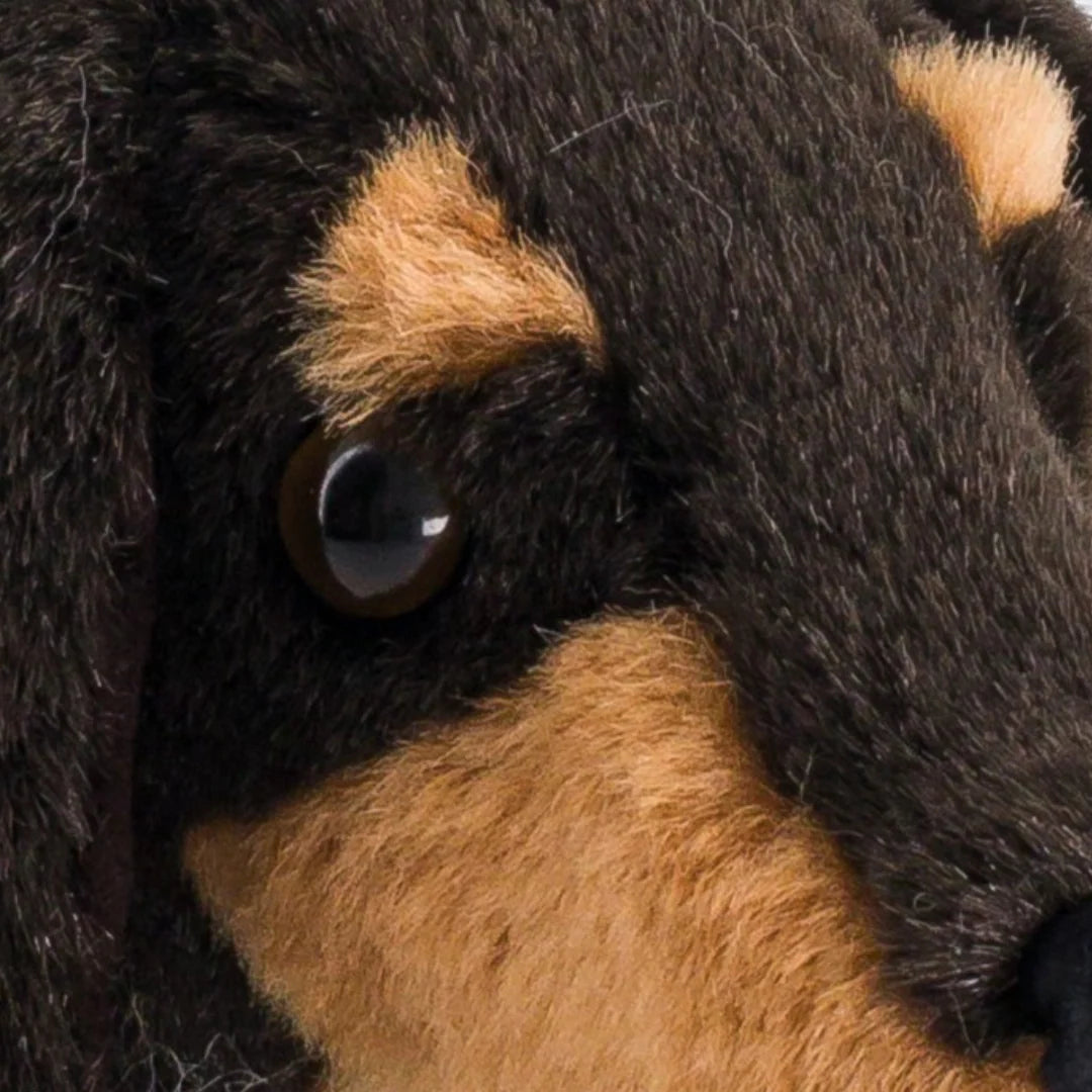 Peluche Chien Teckel