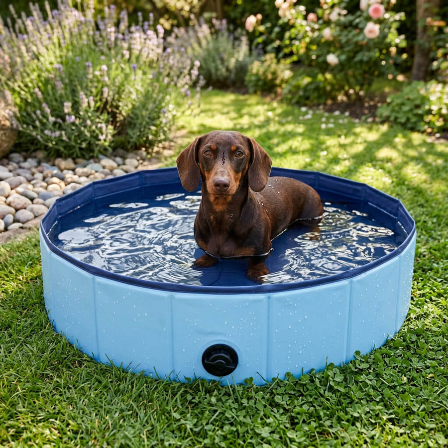 Hundepool für Dackel