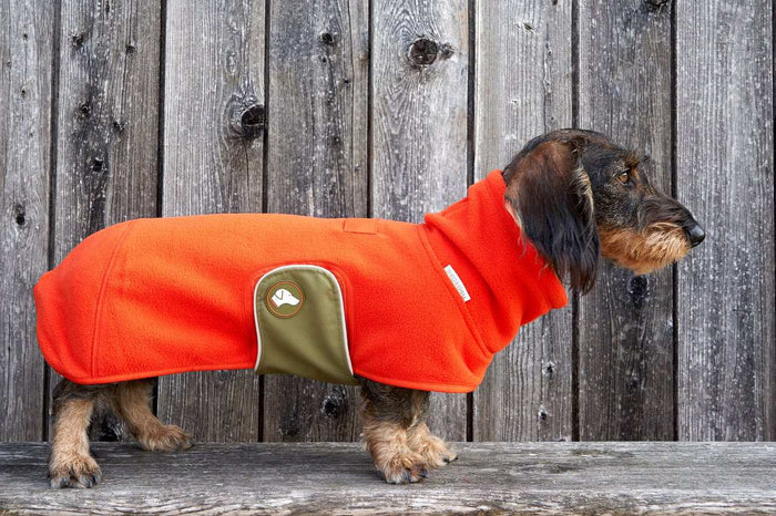 Pull Chaud Polaire Teckel