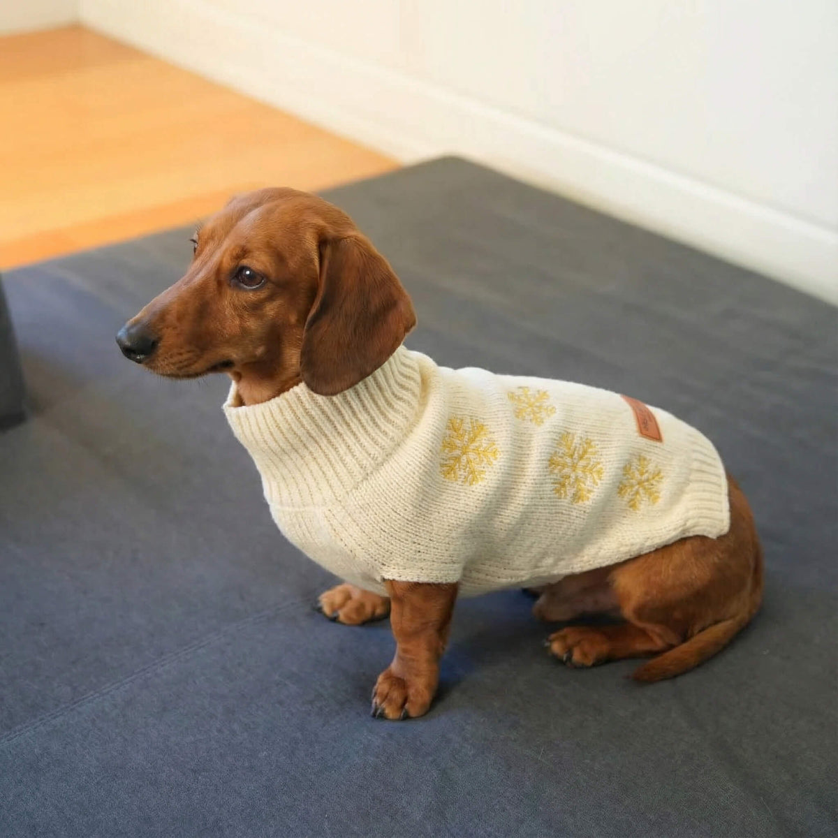 Warmer Dackel-Pullover