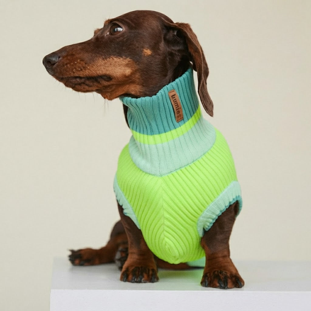 Vêtement Teckel <br> Jumper Pull Neon Matcha