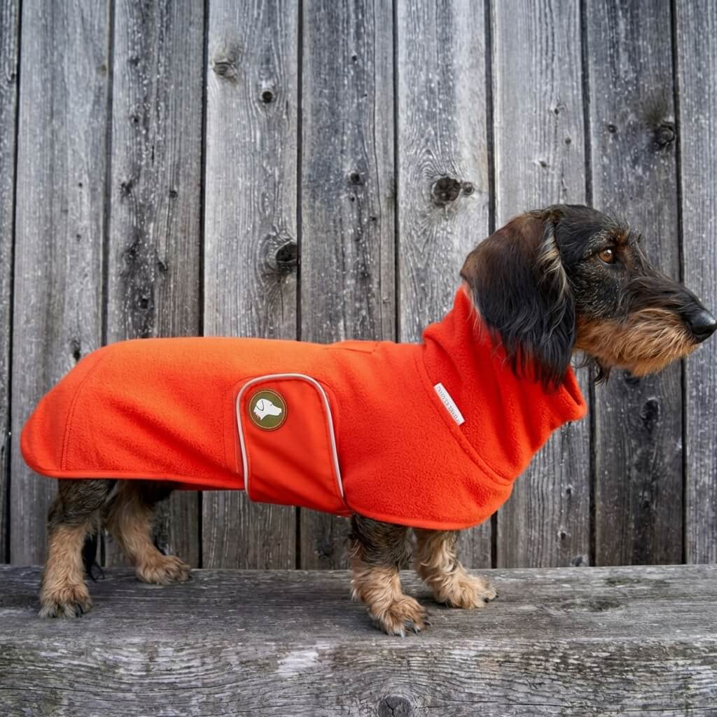 Pull Polaire Chien Teckel