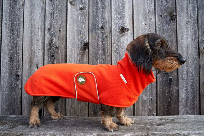 Pull Polaire Teckel Orange