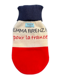 Pull Teckel France sur Mesure