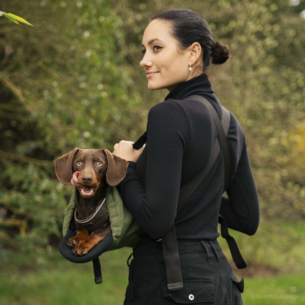 Rucksack speziell für Dackel