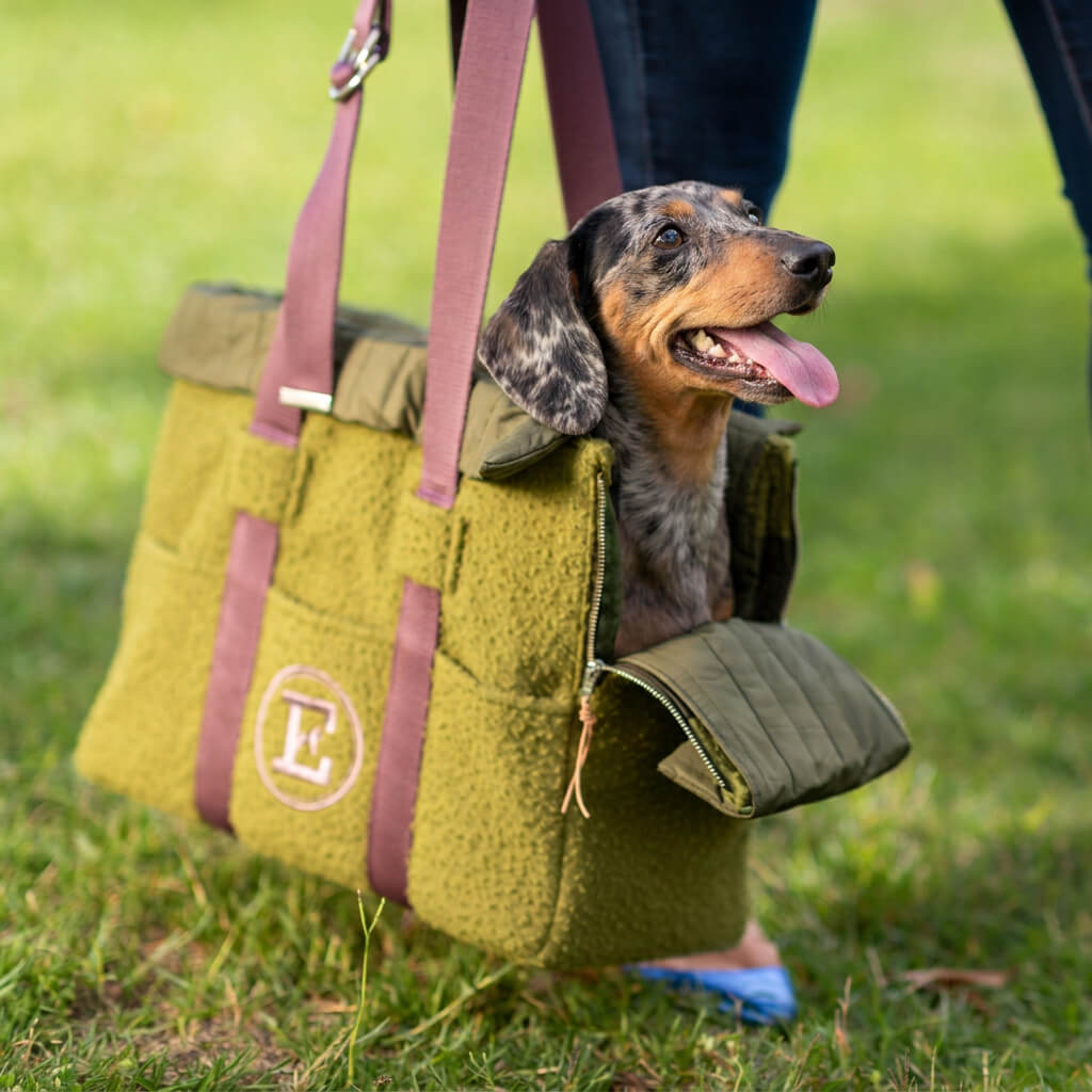 Transporttasche für Dackel