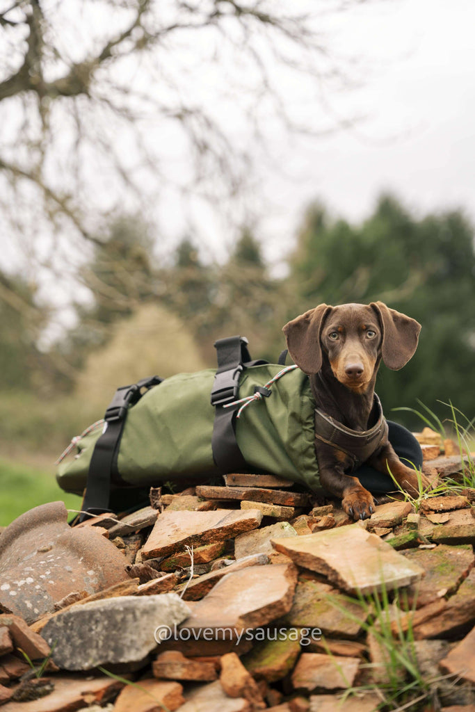 Sac Ventral Sac De Transport Chien 15 Kg Sac Ventral Sling Pour