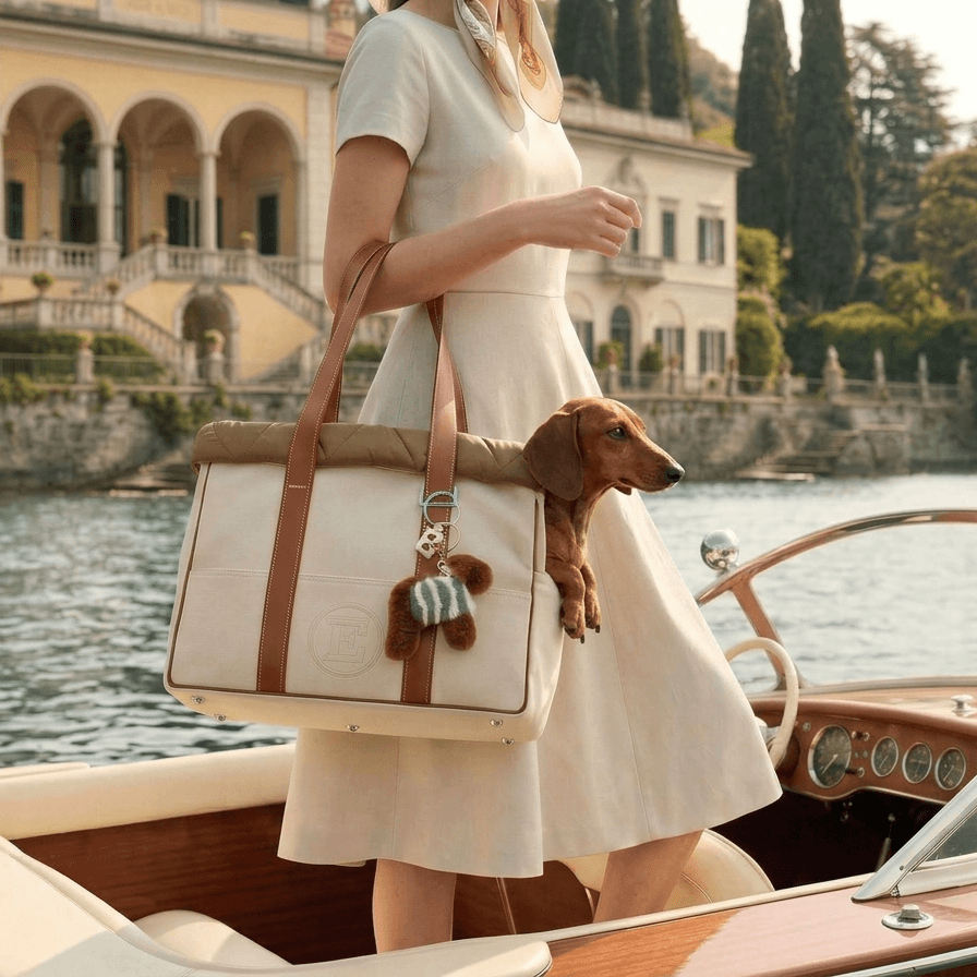 Sac voyage chien teckel cuir