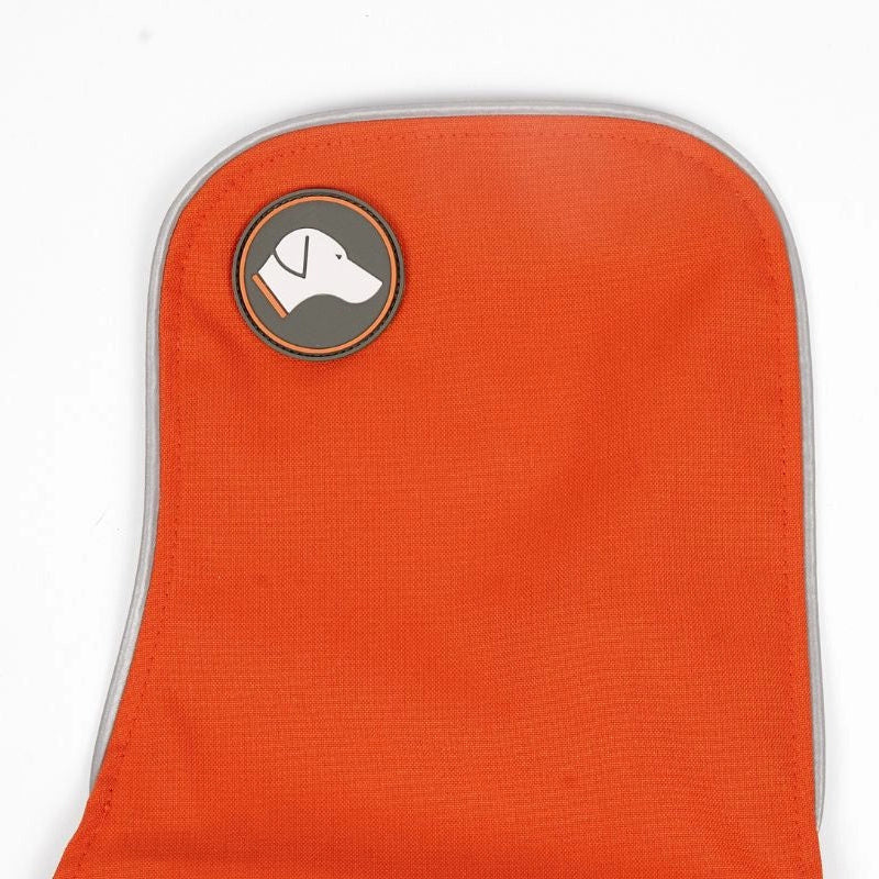 sangle poitrine teckel orange